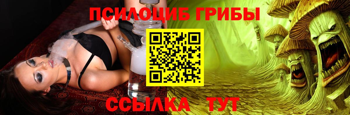 Псилоцибиновые грибы Cubensis  Вход с VPN  Лысьва 